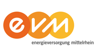 Logo EVM